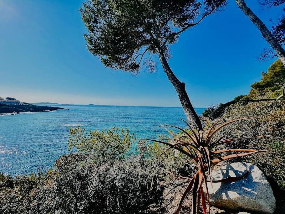 Escapade Au Coeur De Sanary Apartment Bagian luar foto